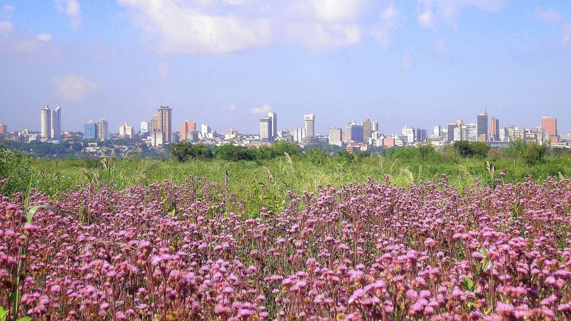 Best Spring Events in Asunción: Festivals, Concerts & Cultural Experiences