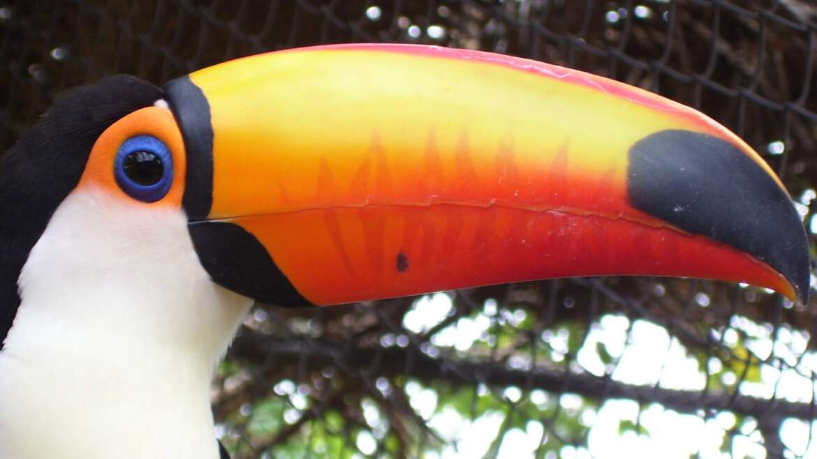Fun and Family Friendly Things to Do in Asuncion